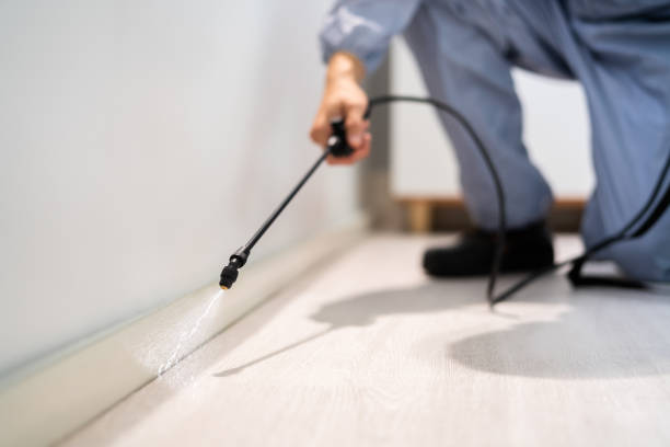 Certified termite inspector examining foundation in Heron Bay