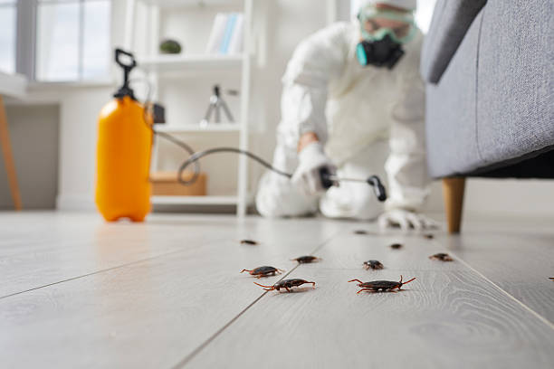 Post-Treatment Bed Bug Interceptor Monitoring in Heron Bay