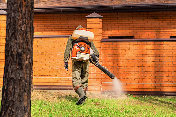 Bed Bug Clearance Verification and Documentation in Heron Bay